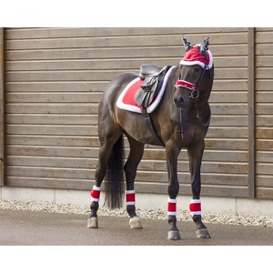 QHP Kerst Bandages